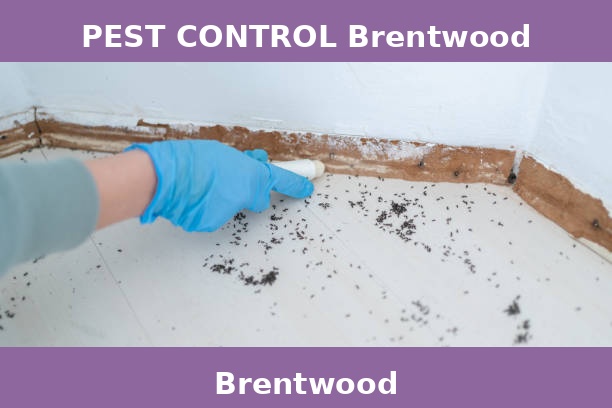 PEST CONTROL Brentwood